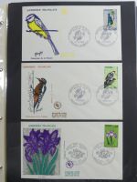 Andorra Sammlung FDCs mit Besseren auf selbstgestalteten Seiten #MA103