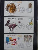 Andorra Sammlung FDCs mit Besseren auf selbstgestalteten Seiten #MA103