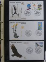 Andorra Sammlung FDCs mit Besseren auf selbstgestalteten Seiten #MA103