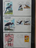 Spanien Sammlung FDCs in 7 Alben auf selbstgestalteten Seiten #MA104