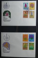 Azoren, Madeira Sammlung FDCs auf selbstgestalteten Seiten #MA107