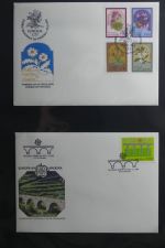 Azoren, Madeira Sammlung FDCs auf selbstgestalteten Seiten #MA107