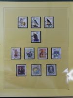 Berlin gestempelt besammelt mit teils fragwürdigen in 2 Safe Alben #MA122