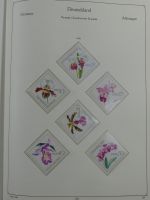 DDR ab Anfängen teilweise Anhaftungen teilbesammelt auf KA-BE Seiten #MA126