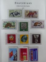DDR ab Anfängen gestempelt besammelt in 3 Leuchtturm Alben #MA140