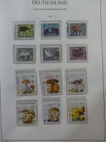 DDR ab Anfängen gestempelt besammelt in 3 Leuchtturm Alben #MA140