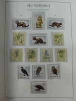 DDR ab Anfängen gestempelt besammelt in 3 Leuchtturm Alben #MA140