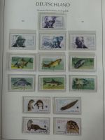 DDR ab Anfängen gestempelt besammelt in 3 Leuchtturm Alben #MA140