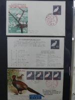 Japan Sammlung der FDCs in 6 Bindern auf selbstgestalteten Seiten #MA095