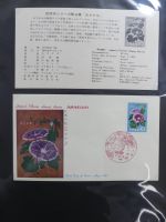Japan Sammlung der FDCs in 6 Bindern auf selbstgestalteten Seiten #MA095