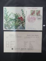 Japan Sammlung der FDCs in 6 Bindern auf selbstgestalteten Seiten #MA095