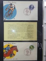 Japan Sammlung der FDCs in 6 Bindern auf selbstgestalteten Seiten #MA095