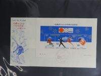 Japan Sammlung der FDCs in 6 Bindern auf selbstgestalteten Seiten #MA095