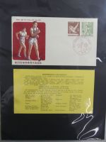 Japan Sammlung der FDCs in 6 Bindern auf selbstgestalteten Seiten #MA095