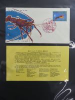 Japan Sammlung der FDCs in 6 Bindern auf selbstgestalteten Seiten #MA095