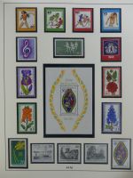 SBZ Startersammlung mit Falz auf alten Seiten #MA174