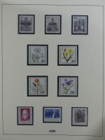 SBZ Startersammlung mit Falz auf alten Seiten #MA174