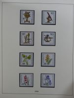 SBZ Startersammlung mit Falz auf alten Seiten #MA174