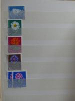 Schweiz Lagerbücher in 3 Einsteck-Alben #MA180