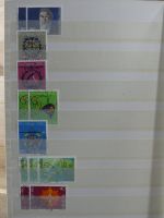 Schweiz Lagerbücher in 3 Einsteck-Alben #MA180