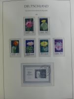 DDR gestempelt besammelt mit Anfangswerten in 3 Leuchtturm-Alben #MA181