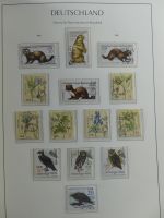 DDR gestempelt besammelt mit Anfangswerten in 3 Leuchtturm-Alben #MA181