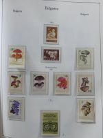 Bulgarien ab Klassik besammelt mit sehr hohem KW in 4 Alben #MA183