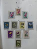 Bulgarien ab Klassik besammelt mit sehr hohem KW in 4 Alben #MA183