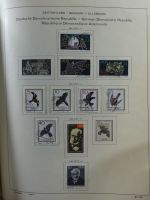 SBZ/DDR gestempelt und mit Falz besammelt im Schaubek-Album #MA204