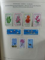 SBZ/DDR gestempelt und mit Falz besammelt im Schaubek-Album #MA204