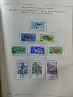 SBZ/DDR gestempelt und mit Falz besammelt im Schaubek-Album #MA204