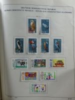 SBZ/DDR gestempelt und mit Falz besammelt im Schaubek-Album #MA204