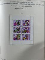 SBZ/DDR gestempelt und mit Falz besammelt im Schaubek-Album #MA204