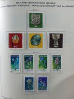 SBZ/DDR gestempelt und mit Falz besammelt im Schaubek-Album #MA204