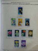 SBZ/DDR gestempelt und mit Falz besammelt im Schaubek-Album #MA204