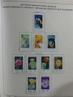 SBZ/DDR gestempelt und mit Falz besammelt im Schaubek-Album #MA204