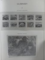 Guernsey ab 1961-2004 ** besammelt im Einsteck-Album #MA207