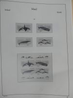 Island Leuchtturm Text 1944-1999 im Leuchtturm-Album #MA208