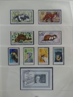 DDR ab Anfängen gestempelt besammelt in 6 Lindner-Alben #MA210