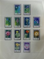 DDR ab Anfängen gestempelt besammelt in 6 Lindner-Alben #MA210