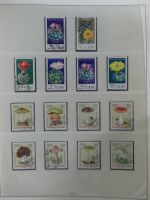 DDR ab Anfängen gestempelt besammelt in 6 Lindner-Alben #MA210