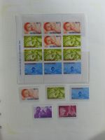 Niederlande Interessante Sammlung ab Klassik auf selbstgestalteten Seiten #MA219