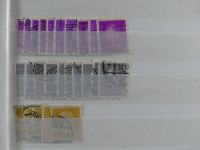 Deutsches Reich Lagerbuch im Einsteck Album #MA228