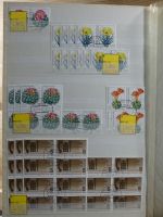 DDR 4er Blöcke und Zd im Einsteck Album #MA230