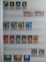 Vatikan postfrisch besammelt im Einsteck-Album #MA239