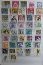 Vatikan postfrisch besammelt im Einsteck-Album #MA239