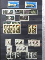 DDR laut Angabe des Besitzers 1590 € KW im Einsteck-Album #MA248