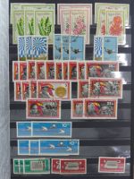 DDR laut Angabe des Besitzers 1590 € KW im Einsteck-Album #MA248