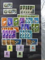 DDR laut Angabe des Besitzers 1590 € KW im Einsteck-Album #MA248