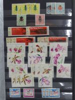 DDR laut Angabe des Besitzers 1590 € KW im Einsteck-Album #MA248